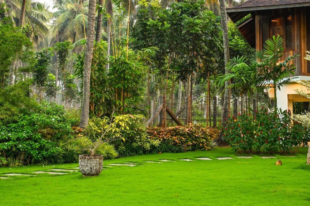 Villa Woods & Palms Pollāchi Exteriér fotografie